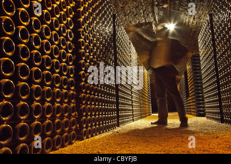 WEINKELLER IM CHÂTEAU DE POMMARD, GROßE BURGUNDER WEINSTRAßE, POMMARD, COTE D ' OR (21), FRANKREICH Stockfoto