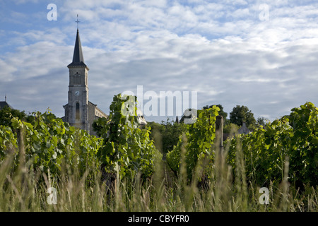 KIRCHE UND WEINBERGE IN ALOXE-CORTON, GROßE BURGUNDER WEINSTRAßE, COTE D ' OR (21), FRANKREICH Stockfoto