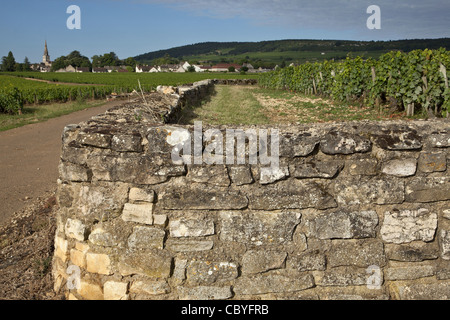 KLEINE STEINMAUER VOR DEN WEINBERGEN IN VOLNAY, GROßE BURGUNDER WEINSTRAßE, COTE D ' OR (21), FRANKREICH Stockfoto