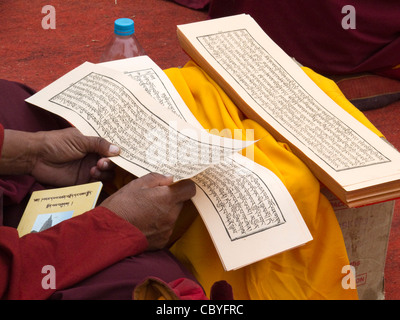 Indien, Bihar, Bodhgaya, Mahabodhi Tempel, Hände der Mönch hält buddhistischen text Stockfoto