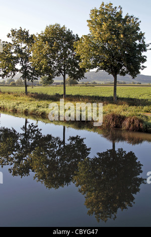 LEINPFAD, GESÄUMT VON BÄUMEN, VANDENESSE-EN-AUXOIS, COTE D ' OR (21), BURGUND, FRANKREICH Stockfoto