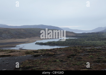 Lake, Island Stockfoto