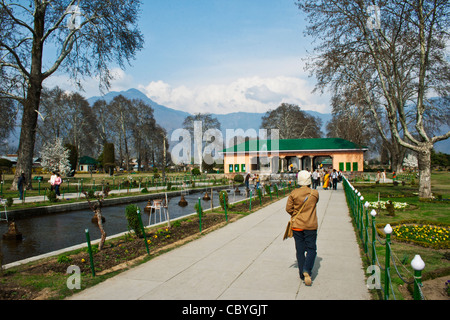 Ein Tourist geht auf dem Gehweg in der Moghul-Garten in Srinagar, Kaschmir, Indien Stockfoto