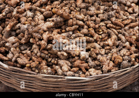 Frische Ingwerwurzel in einem Korb an einem indischen Markt. Andhra Pradesh, Indien Stockfoto