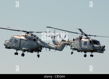 Die zwei Westland Lynx HMA8 WG-13 Hubschrauber der Royal Navy schwarz Katzen während ihrer Anzeige auf der Cotswold-Air-Show Stockfoto