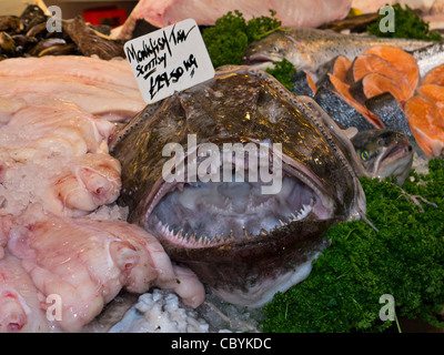 Seeteufel auf dem Display an Fischhändler stall Borough Markt Southwark London UK Stockfoto