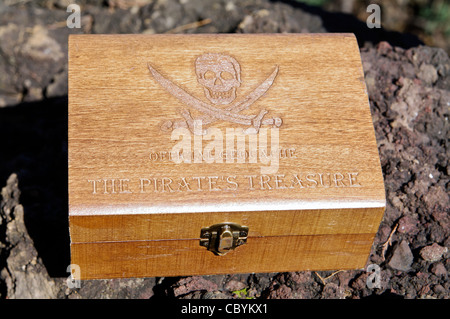 Geocache-Container mit Piratenschädel-Design, versteckt in felsigem Gelände auf einem Trail auf den Azoren, Portugal. Stockfoto