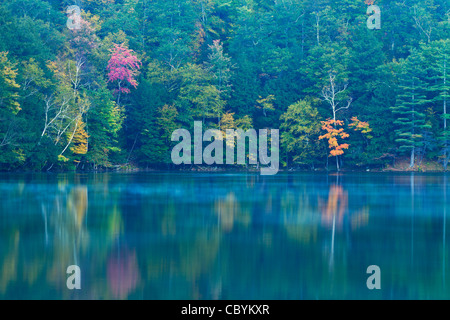 Im Herbst Laub und Morgen Nebel auf Emerald Lake, Vermont. Stockfoto