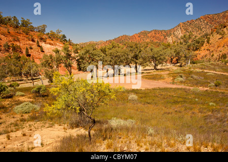 Robuste Brachina Gorge im Flinders Ranges National Park in Süd-Australien outback Stockfoto