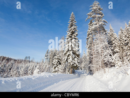 Schneebedeckte leere Taiga-Waldstraße im Winter, Finnland Stockfoto
