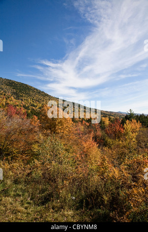 Szenen von den White Mountain National Forest von Bär Notch Road, New Hampshire. Stockfoto