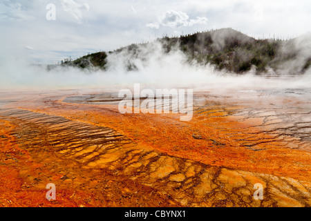 Die Grand Prismatic Spring im Yellowstone National Park ist die größte heiße Quelle in den Vereinigten Staaten, und die drittgrößte der Welt, [3] Nachdem Frying Pan See in Neuseeland und kochenden See in Dominica. Es ist in der Midway Geyser Basin. Die lebendige Farben im Frühjahr sind das Ergebnis von pigmentierten Bakterien in die mikrobielle Matten, die rund um die Kanten der Mineral- Wasser. Die Bakterien produzieren Farben von grün bis rot; die Menge der Farbe in der mikrobiellen Matten hängt vom Verhältnis von Chlorophyll, Carotinoide und auf die Temperatur des Wassers begünstigt eine Ba Stockfoto