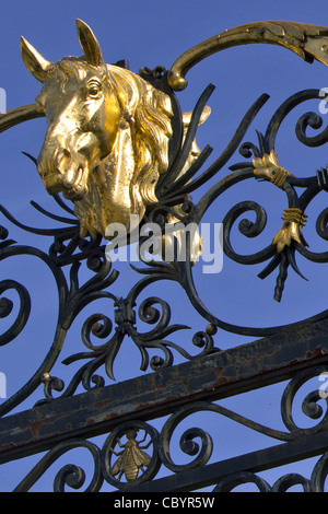 VERGOLDETE HORS KOPF, TOR DER HAUPTEINGANG ZUM LE PIN NATIONAL STUD FARM, LE PIN AU HARAS, ORNE (61), FRANKREICH Stockfoto