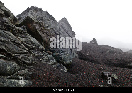 Pacaya Volcano Volcanic Rocks Guatemala // PACAYA VULKAN, Guatemala — Vulkangesteine, die aus erstarrter Lava gebildet werden, zeigen die geologische Geschichte des Pacaya Volcano. Die basaltischen Gesteine weisen verschiedene Texturen und Formationen auf, die für vulkanische Aktivität charakteristisch sind. Diese geologischen Exemplare zeigen die vulkanischen Prozesse, die die Landschaft des Vulkankomplexes Pacaya nach wie vor prägen. Stockfoto