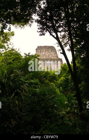 Der Spitze des Tempels 2 (Tempel der Masken) ist eingerahmt von dichten Dschungel Bäume in Tikal Maya-Ruinen im Norden Guatemalas, jetzt eingeschlossen im Tikal National Park. Stockfoto