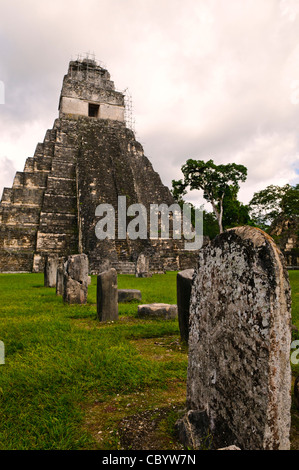 Tikal Tempel I und Stelen Guatemala // TIKAL, Guatemala – Tempel I, der Tempel des Großen Jaguar, erhebt sich über alten geschnitzten Stelen auf Tikals großer Platz. Erbaut um 734 n. Chr. als Grabtempel für Herrscher Jasaw Chan K'awiil I., ist diese 145 Meter hohe Pyramide eines der berühmtesten Bauwerke Tikals. Die verwitterten Stelen vor dem Tempel trugen einst Gedenkinschriften mit wichtigen historischen Ereignissen. Stockfoto