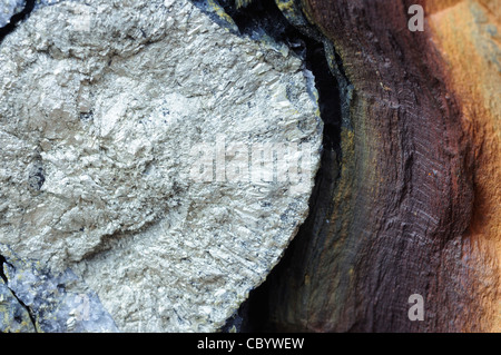 Mineralische Nähte in Stein Stockfoto