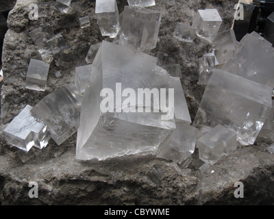 Rock Salt Crystal Cube auch genannt Halit, ein Mineral Form von Natriumchlorid (NaCl). Stockfoto