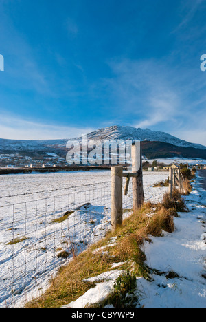 Winterzeit am Carlingford Stockfoto