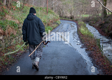 Ein Mann sammeln große sticks für Brennholz, bei einem Winterspaziergang im Hexhamshire, Northumberland, England. Stockfoto