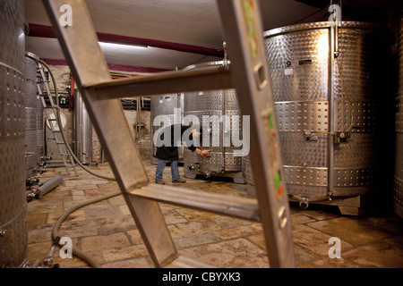 EDELSTAHLTANKS, DOMAINE TAUPENOT WEINBERGE, MOREY-SAINT-DENIS, CÔTE D ' OR (21), BURGUND, FRANKREICH Stockfoto