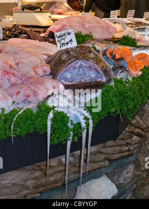 Seeteufel auf dem Display an Fischhändler stall Borough Markt Southwark London UK Stockfoto