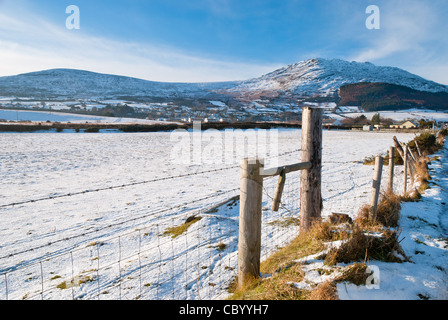 Winterzeit am Carlingford Stockfoto