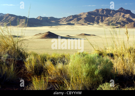 NamibRand Nature Reserve Landschaft - Hardap Region, Namibia, Afrika Stockfoto