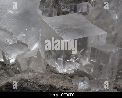 Rock Salt Crystal Cube auch genannt Halit, ein Mineral Form von Natriumchlorid (NaCl). Stockfoto