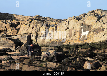 Vater und Sohn bewundern das Bild eines weißen Hirsches auf Hirsch Rock Bamburgh Stockfoto