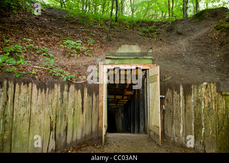 Der Eingang zum Daugbjerg Kalkstein Minen in der Nähe von Viborg, Dänemark Stockfoto