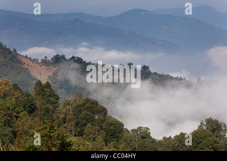 Indien, Arunachal Pradesh, am frühen Morgen Wolke im Wald oberhalb von Daporijo Stockfoto