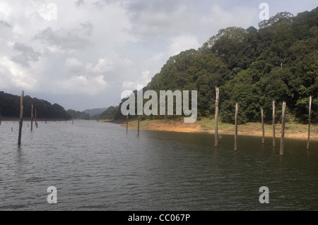 Wasser des Stausees Periyar zurück. Ein berühmter touristischer Ort in der Nähe der Periyar Tiger Reserve von Kerala Stockfoto