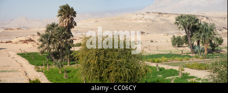 Panorama-Aufnahme von der Oase Garten in der Nähe der Festung und Siedlung Qasr el Labekha in der Wüste in der Nähe von Kharga Oasis Ägypten Stockfoto