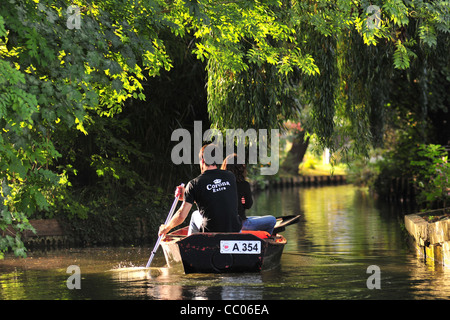 BOOTSFAHRT DURCH DIE HORTILLONNAGES ODER SCHWIMMENDE GÄRTEN, AMIENS, SOMME (80), FRANKREICH Stockfoto