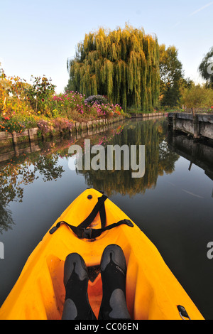 KAJAKFAHREN DURCH DIE HORTILLONNAGES ODER SCHWIMMENDE GÄRTEN, AMIENS, SOMME (80), FRANKREICH Stockfoto