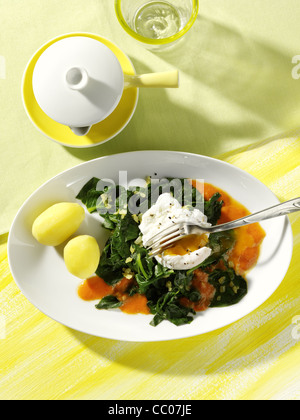 Spiegelei auf Spinat Blätter mit Paprika-sauce Stockfoto