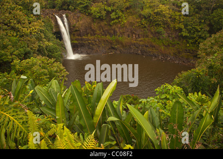Rainbow Falls in der Nähe von Hilo, Hawaii, USA Stockfoto
