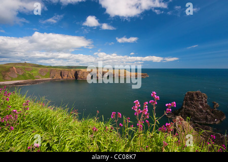 Küsten-Ansicht von Dunnottar Castle in der Nähe von Stonehaven Schottland Stockfoto