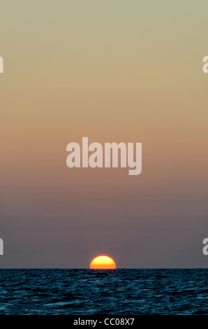 Pacific Ocean Sunset Swains Reef Queensland Australien // die Sonne verschwindet kurz bevor die Sonne unter dem Horizont über dem Pazifik verschwindet. Der größte Teil des Rahmens wird von einem klaren Himmel oberhalb von Orange bis Gelb aufgenommen. Aufgenommen am Swains Reef am südlichen Ende des Great Barrier Reef an der Küste von Queensland, Australien. Stockfoto