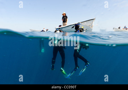 Taucher Great Barrier Reef Swains Reef Australien | SWAINS REEF, Queensland, Australien — Taucher warten unter der Oberfläche auf die Abholung durch ein Beiboot in dieser geteilten Ansicht des Great Barrier Reef. Swains Reef liegt am abgelegenen südlichen Ende des Riffs und besteht aus einem dichten, flachen Labyrinth aus Korallen. Große Festzeitfahrzeuge können diese engen Formationen nicht sicher befahren und verlassen sich stattdessen auf kleine Außenbordboote, um Taucher durch die engen Kanäle zu bestimmten Absprungstellen zu transportieren. Stockfoto
