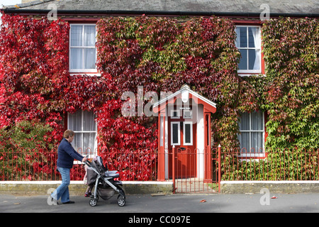 HAUS IN WILDEM CAMBRIDGE BEDECKT Stockfoto