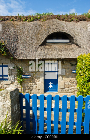 Ziemlich Reetdachhaus in Brittany France mit Pflanzen wachsen auf Dach und blauen Tor, die Tür. Stockfoto
