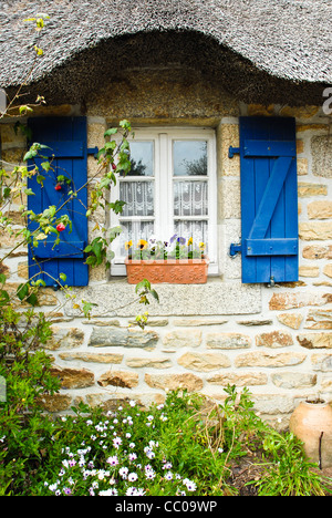 Typische Reetdachhaus in Brittany France, Nahaufnahme von hübschen mit Stroh, blaue Fensterläden, Blumenkasten mit Stiefmütterchen Stockfoto