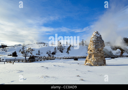 Liberty Cap, ein Travertin-Turm aus einem ruhenden Thermalquelle. Mammoth Hot Springs, Yellowstone-Nationalpark, Wyoming, USA. Stockfoto