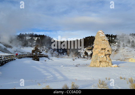 Liberty Cap, ein Travertin-Turm aus einem ruhenden Thermalquelle. Mammoth Hot Springs, Yellowstone-Nationalpark, Wyoming, USA. Stockfoto