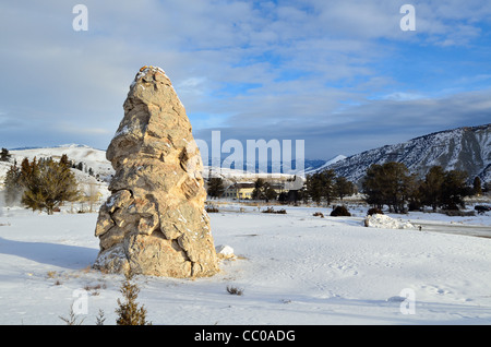 Liberty Cap, ein Travertin-Turm aus einem ruhenden Thermalquelle. Mammoth Hot Springs, Yellowstone-Nationalpark, Wyoming, USA. Stockfoto