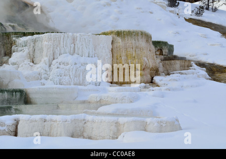 Travertin Terrasse im Schnee. Mammoth Hot Springs, Yellowstone-Nationalpark, Wyoming, USA. Stockfoto