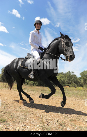junger Mann und seinem schwarzen Hengst in einem Feld Stockfoto