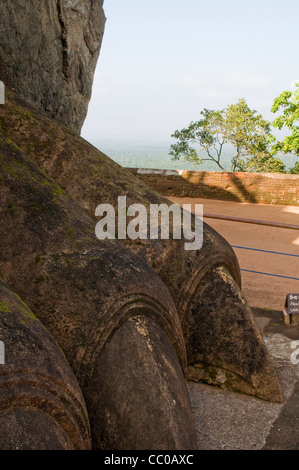 Die Löwen-Füße in Sigiriya (Lion es Rock), Sri Lanka Stockfoto